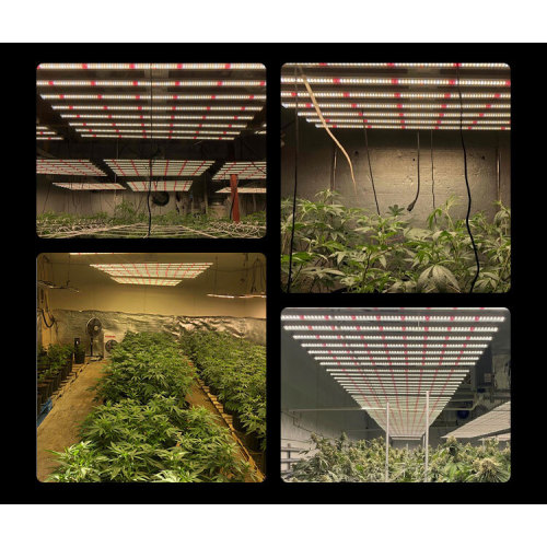 Growing Herbs Indoors Grow Light Strip