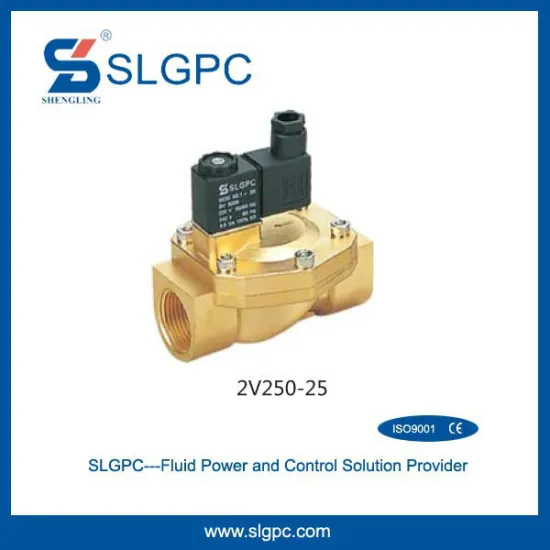 2/2 way brass 24V 2V250-25 1 inch natural gas solenoid valve