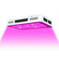Neues Produkt CE RoHS LED wachsen leicht