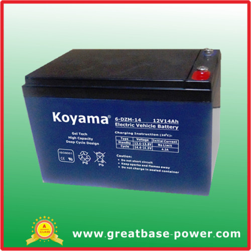 Top Quality E-Bike Storage Battery 6-Dzm-14 (14AH 12V)