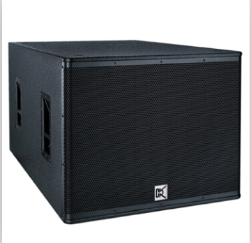 CVR dual 18' subwoofer with bass horn loaded