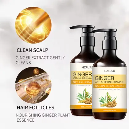 Ginger Shampoo for Hair Growth Promotion, Repair, and Moisturizing Control