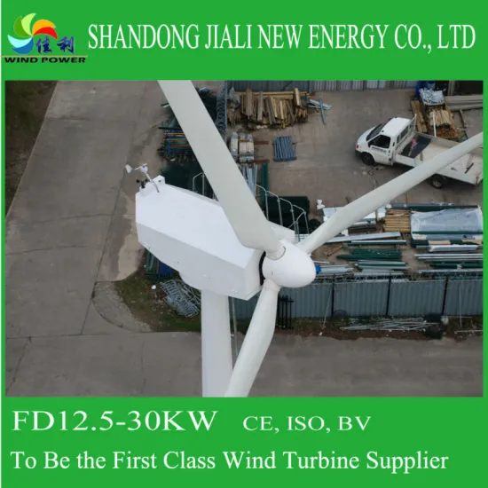 30KW High Quality Wind Turbine Approved By ISO,CE,BV&Gold Supplier