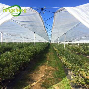 plastic waterproof tarpaulin sweet cherry fruits grower