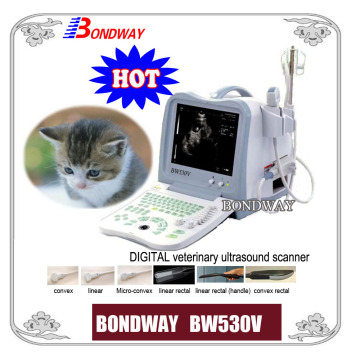 Digital Portable Vet Ultrasound Scanner Large/Small Animal Ultrasound Farm Animal Ultrasound