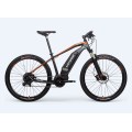 Bici da incrociatore elettrico personalizzato