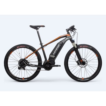 Customized Off Road Electric Bike