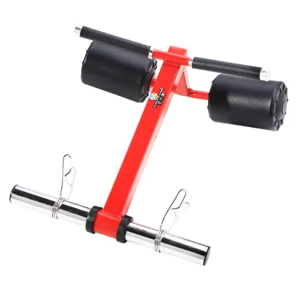 Strength Exercise Fitness Equipment Arm Curl Machine