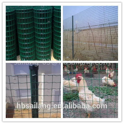 High quality Euro type holland welded wire mesh /Chicken wire mesh with the low price
