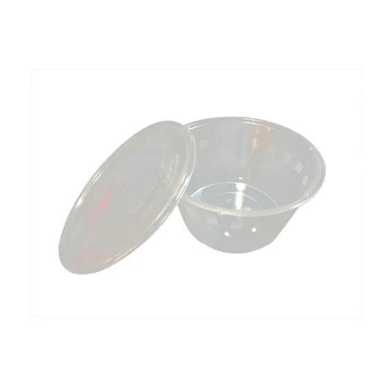 Chinese factory direct plastic lunch box bowl mould