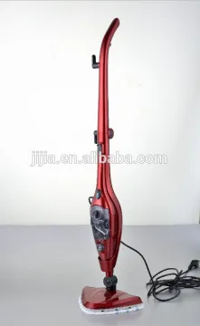 Steam cleaner with certificates in 2016