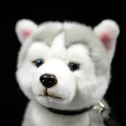 Lifelike Siberian Husky Plush Toy