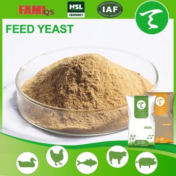 sales big manufacturer supply animal feed additive animal feed yeast
