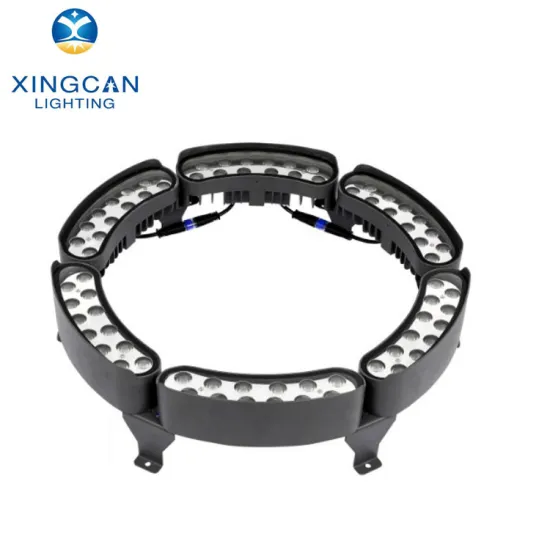 RGB RGBW Color Lighting for Scenery Landscaping: Sidewalk and Seashore Palm Trees