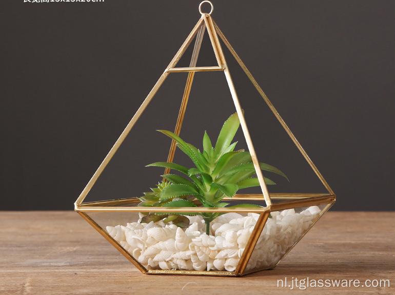 Nieuw product binnen geometrisch glazen hangend terrarium