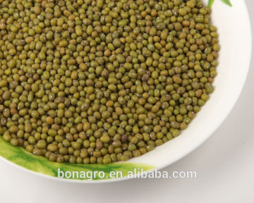 Green Mung bean from LiaoNing