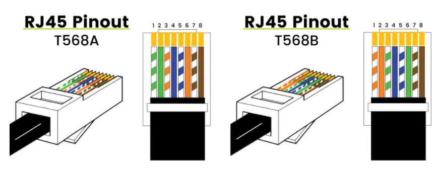 T568A and T568B