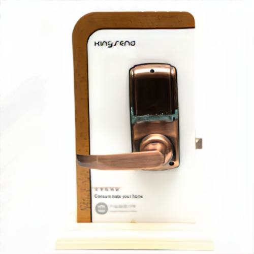 Door Lock with Fingerprint and Password