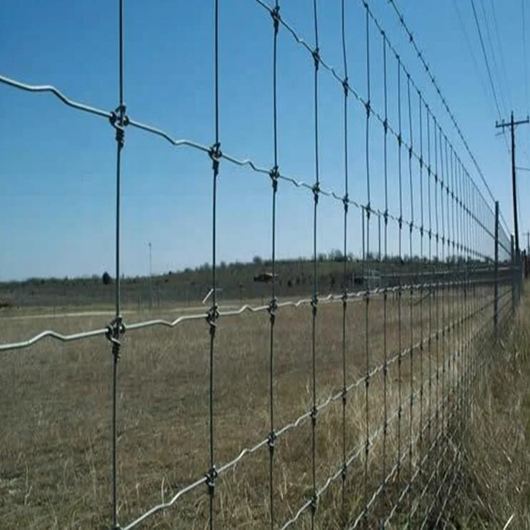 Ferme de prairies galvanisées clôture sur le terrain / ferme en acier en gros