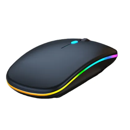 Portable Wireless Ergonomic RGB Backlit Mute Gaming Mouse