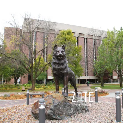 Outdoor garden life size metal animal bronze husky dog statue