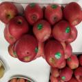 Manzanas frescas de alta calidad