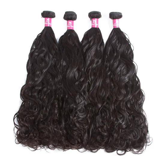 Raw Mink Water Wave Malaysian Hair Bundles with Closure Vendors 100% Virgin Remy Long Cuticle Aligned Malaysian Hair