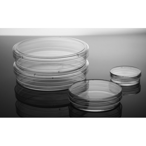 60mm Cell Culture Dishes Laboratory