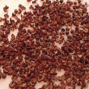High Quality Chinese Food Spices Natural Herbs Szechuan Pepper