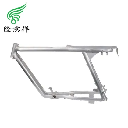 Custom Light Frame Electric Bike for Male Explorers