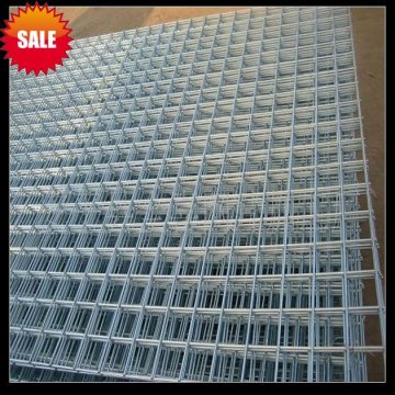 50X50mm Electro Galvanized Welded Wire Mesh Panel