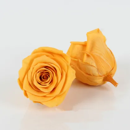 Black Preserved Rose Heads 5-6cm - Wholesale Wedding Flowers from Kunming