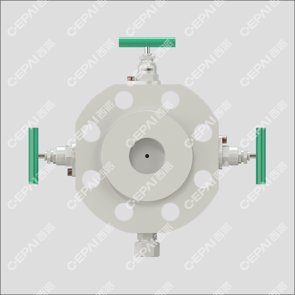 DBB MONOFLANGE Needle Valve0-5