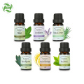 Pure Natural Therapeutic Grade Essential Oil Set Skin Care Oil Aromatherapy Oils