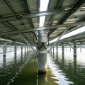 Pesca PV Base Complementaria Acuicultura