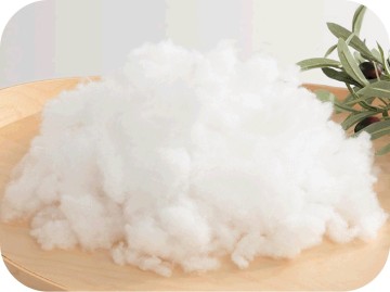 PULANSE® Foam from polylactic acid
