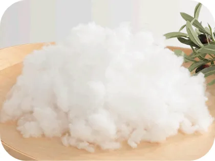 PULANSE® Foam from polylactic acid