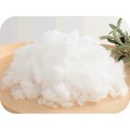 /msite/products/detail/productid/63654705/id/1514906.html