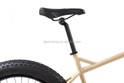 26 Inch Big Tyre Snow Bike - Fat Bicycle & Fat Bike OEM Mountain Bicycles