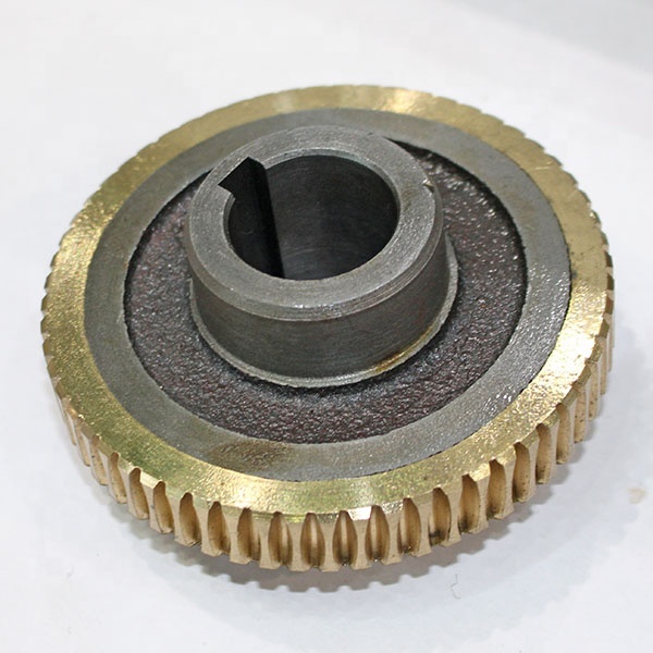Precision Bronze Worm Gear for Stepper Motor