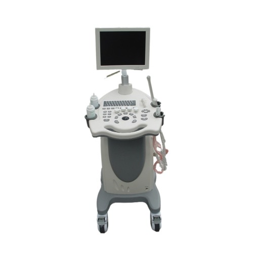 Hot Sale Trolley Color Doppler Ultrasound Diagnostic System