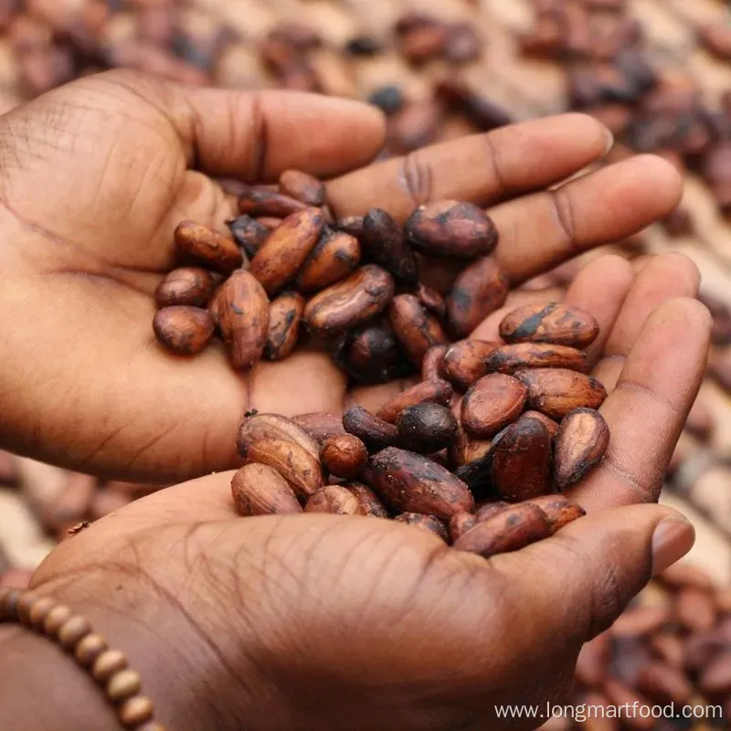 Energizing Premium Arabica Green Coffee Bean Cocoa Mix