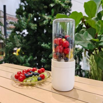 Wholesale Factory Prices: Mini Portable Blender & Hand Mixer Fruit Processor Smoothie Blender