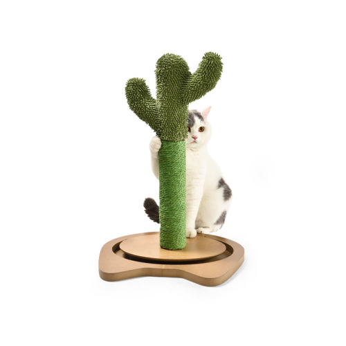 Kaktus IQ -träning Sisal Cat Cactus Post Scratcher