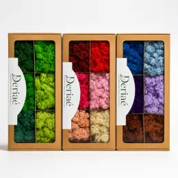 Mixed Color Reindeer Moss 500g