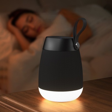 Véritable haut-parleur Bluetooth sans fil portable - haut-parleur étanche pour le son stéréo extérieur