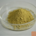 Extracto de skullcap baicalin 70%