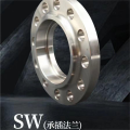 Customized Stainless Steel SW Flange