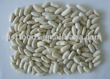 Long Shape White Kidney Bean