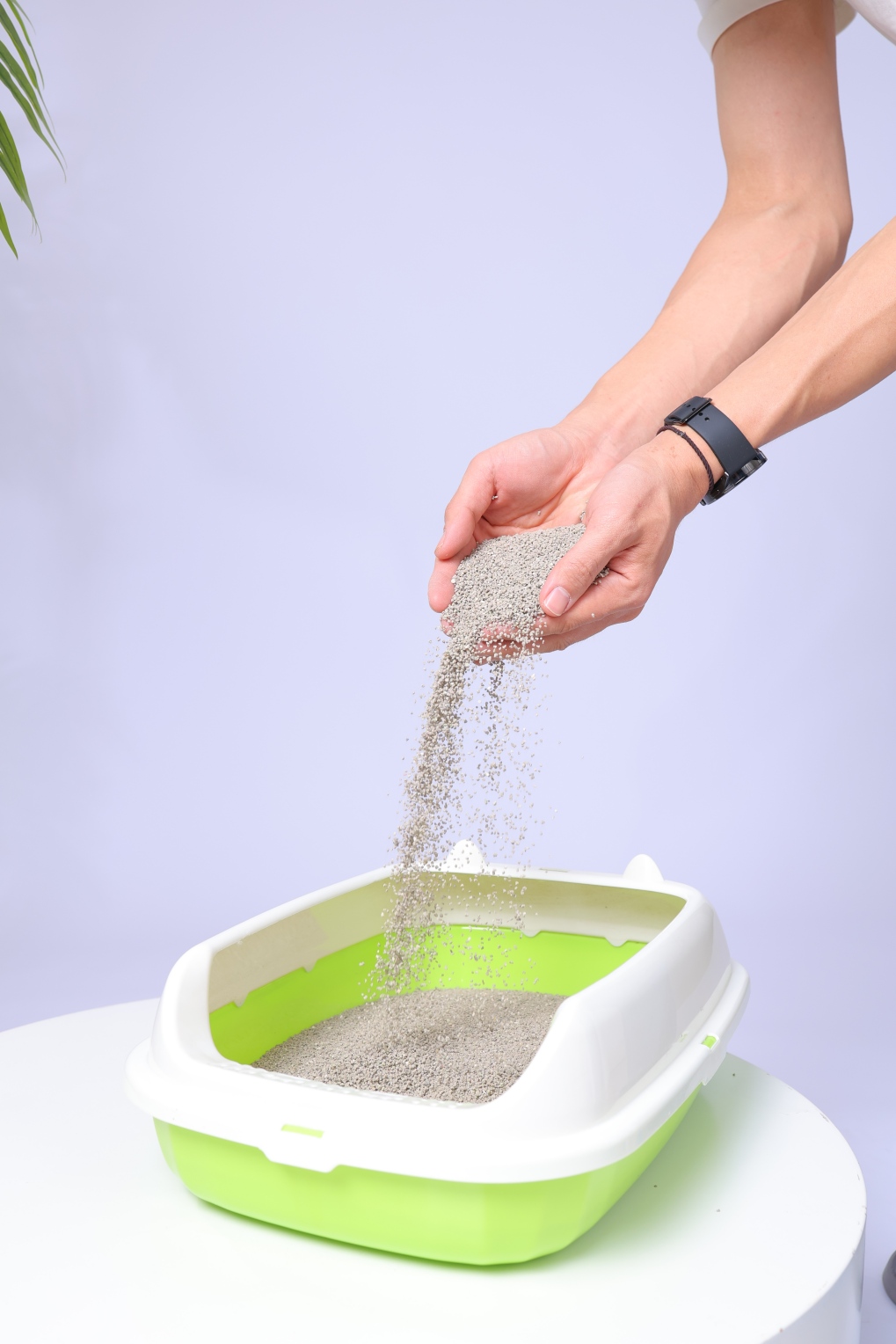 3.0mm Apple Scented Activated Charcoal Bentonite Cat Litter2